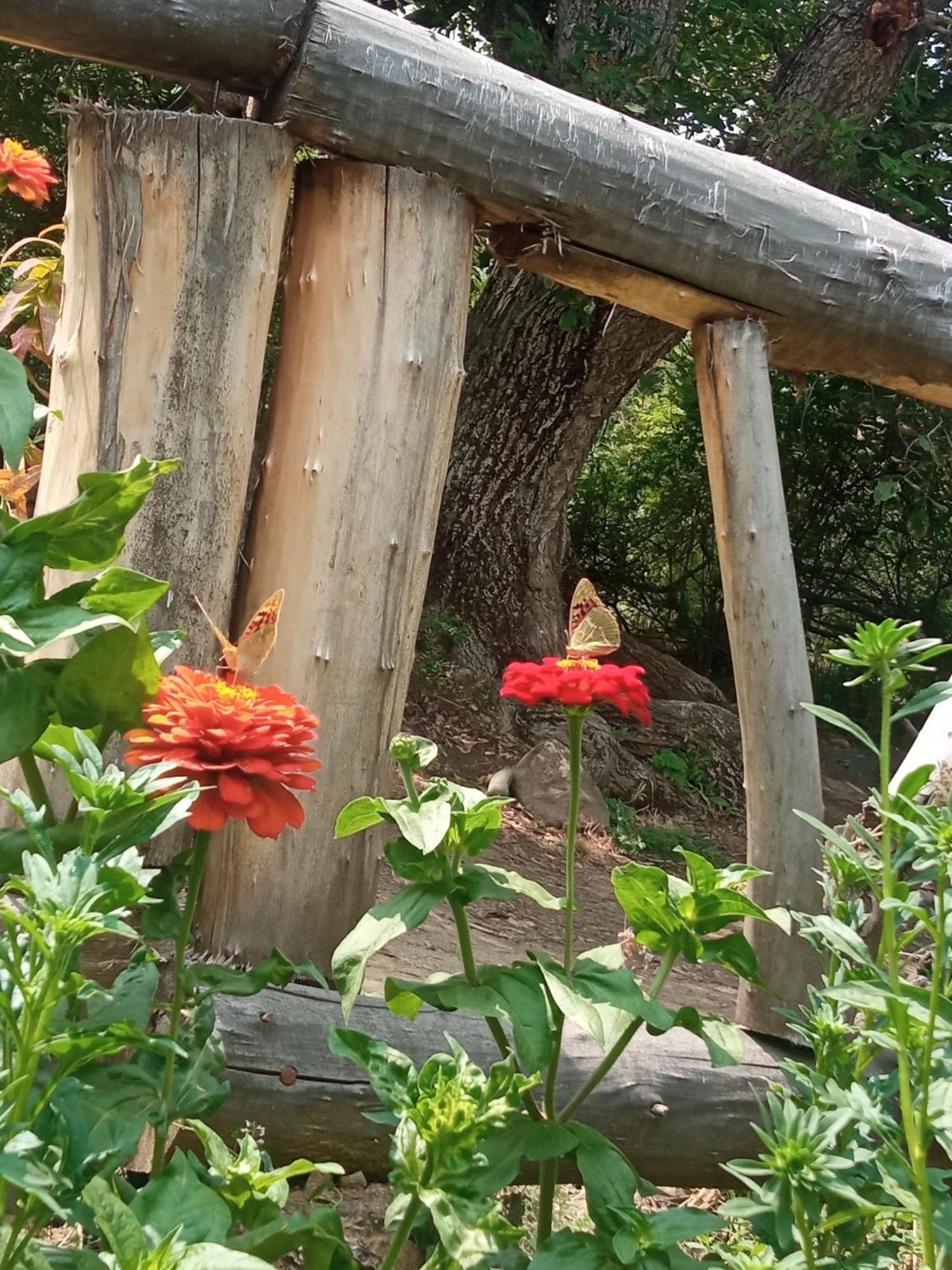Hors'S Home エクステリア 写真
